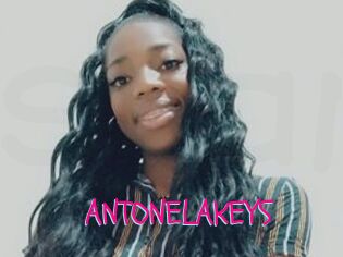 ANTONELAKEYS