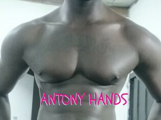 ANTONY_HANDS