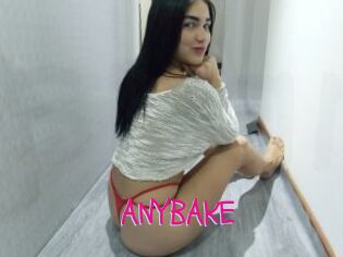 ANYBAKE