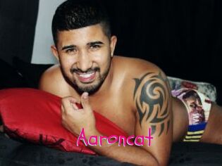Aaroncat
