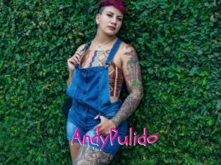 AndyPulido