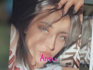 Aneu