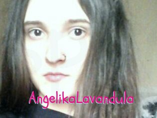 Angelika_Lavandula