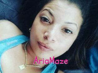 Aria_Maze