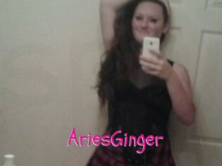 AriesGinger