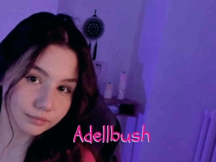 Adellbush