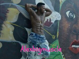 Alexbigmuscle