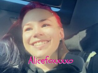 Alicefoxxxxo