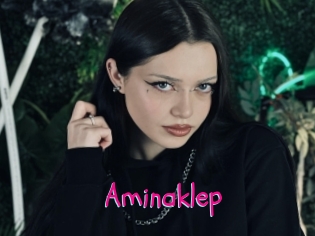 Aminaklep