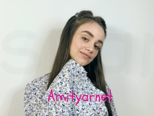 Amityarnet