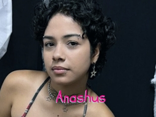 Anashus