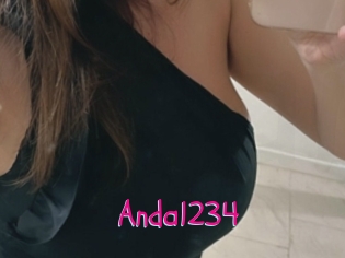 Anda1234