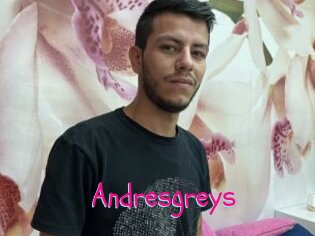 Andresgreys