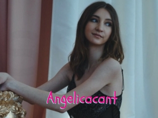 Angelicacant