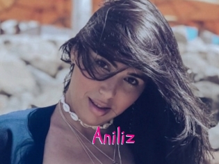 Aniliz