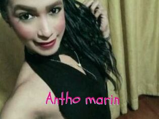 Antho_marin