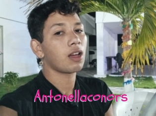 Antonellaconors