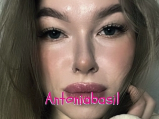 Antoniabasil