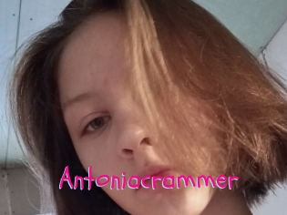 Antoniacrammer