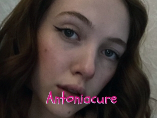 Antoniacure