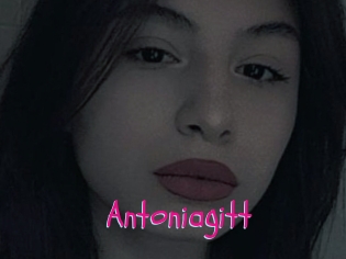Antoniagitt