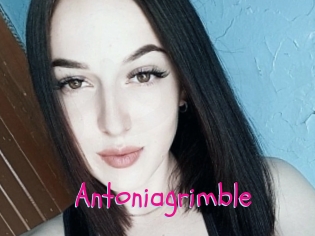 Antoniagrimble