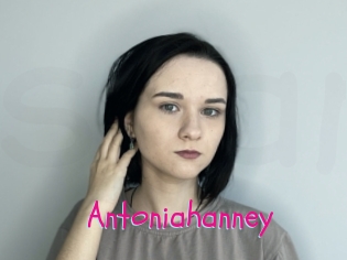 Antoniahanney