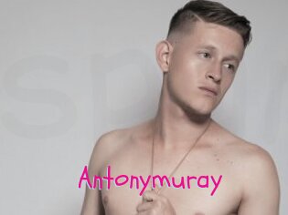 Antonymuray