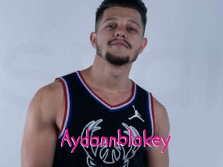 Aydannblakey