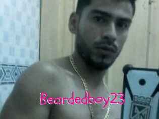 Beardedboy23