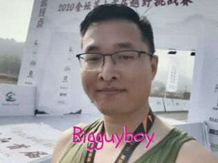 Bigguyboy