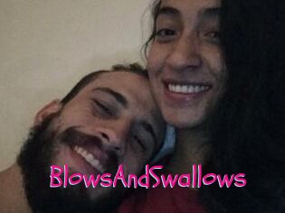 BlowsAndSwallows