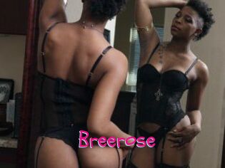 Breerose