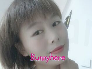 Bunnyhere