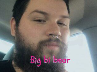 Big_bi_bear