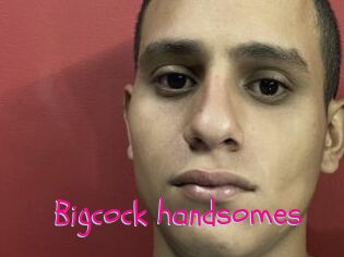 Bigcock_handsomes