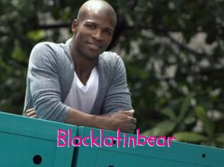 Blacklatinbear