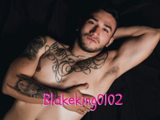 Blakeking0102