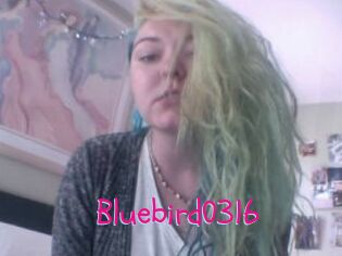 Bluebird0316