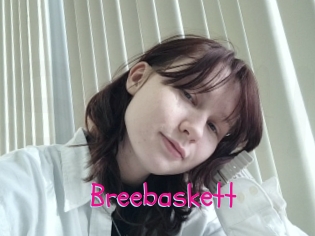 Breebaskett