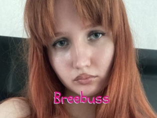 Breebuss