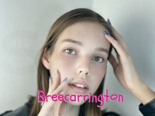 breecarrington Spanking Sarah