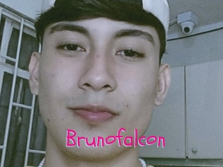 Brunofalcon