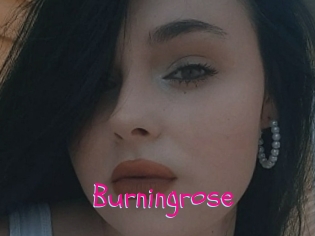 Burningrose