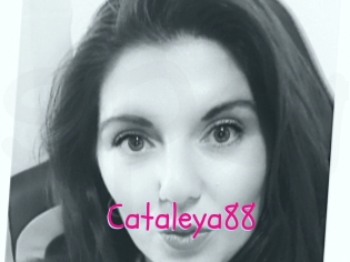 Cataleya88