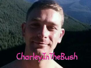 CharleyInTheBush