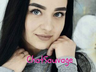 ChatSauvage