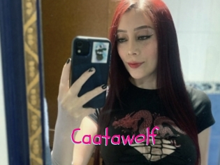 Caatawolf