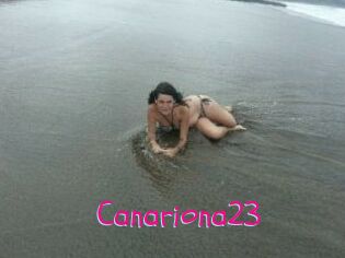 Canariona23