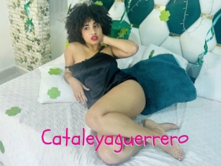 Cataleyaguerrero